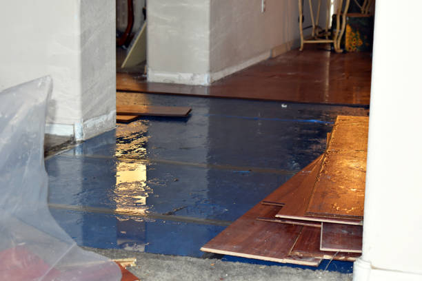 Professional Burst Pipe Cleanup technician working in Coppell, TX